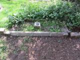 image of grave number 484957